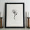 Thumbnail: Framed and mounted print of a pencil drawing of magnolia blossom.