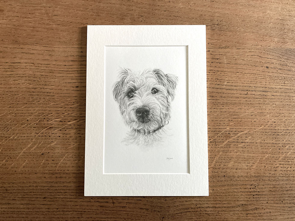 Thumbnail: Mounted print of a pencil drawing of a Parson Russell Terrier dog.