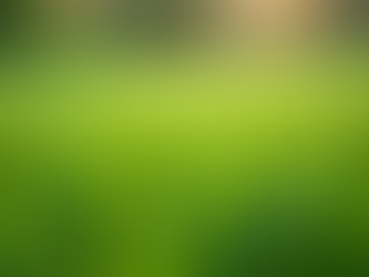 The Essential Dos and Don'ts of Seasonal Lawn Care