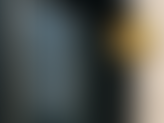 Fenster mit Sonnenschutzfolie – Qualitätsfolie von Fensterheld mit bis zu 10 Jahren Garantie auf Haltbarkeit und Leistung.