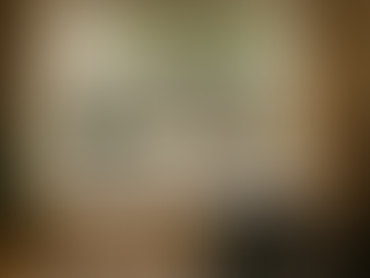 Wohnzimmer mit großen Fenstern und Sichtschutzfolie – tagsüber klare Privatsphäre, helles Tageslicht bleibt im Raum erhalten.