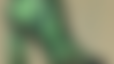 A “Crocs” brasileira: esquecida pelo mercado – comentários do 2T24 da Grendene (GRND3)