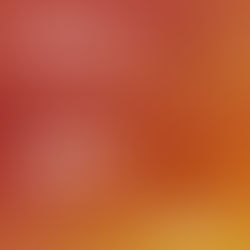 O QUE IMPORTA HOJE 25/7/25: Sempre tem uma solução