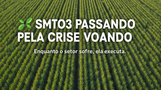 São Martinho #SMTO3 : TRI FEIO MAIS INTELIGENTE 🧠 - ATUALIZAÇÃO DO VALUATION E PREÇO ALVO
