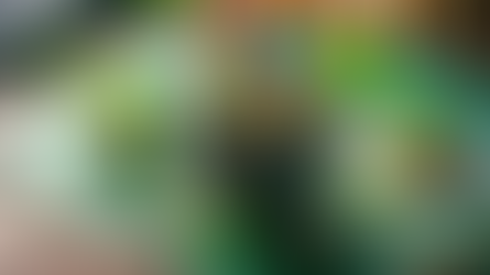 uma destas ações todo mundo quer vender, mas eu quero comprar ! tente adivinhar qual lendo aqui! o que eu achei do resultado de AMBP3, SAPR11, ALOS3, CSED3, GRND3, CASH3