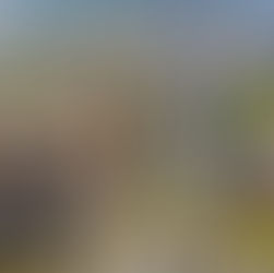 Ariel view of the Houses of Parliament, London on a sunny spring day