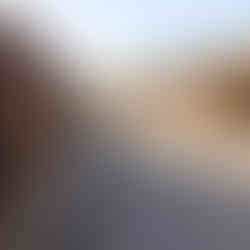 Salinas de Rio Maior