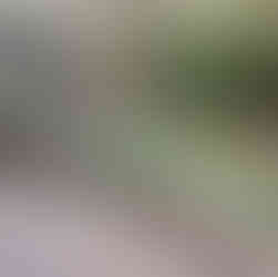 Ruta del Gollizno - Moclín