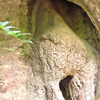 Percurso Interpretativo dos Olhos D’Água do Alviela