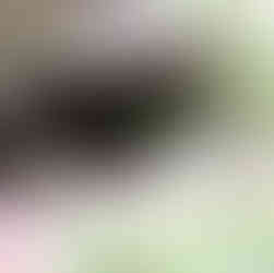 Percurso Interpretativo dos Olhos D’Água do Alviela