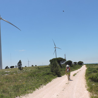 Serra dos Candeeiros