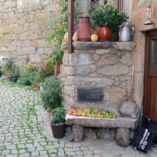 Montesinho Village