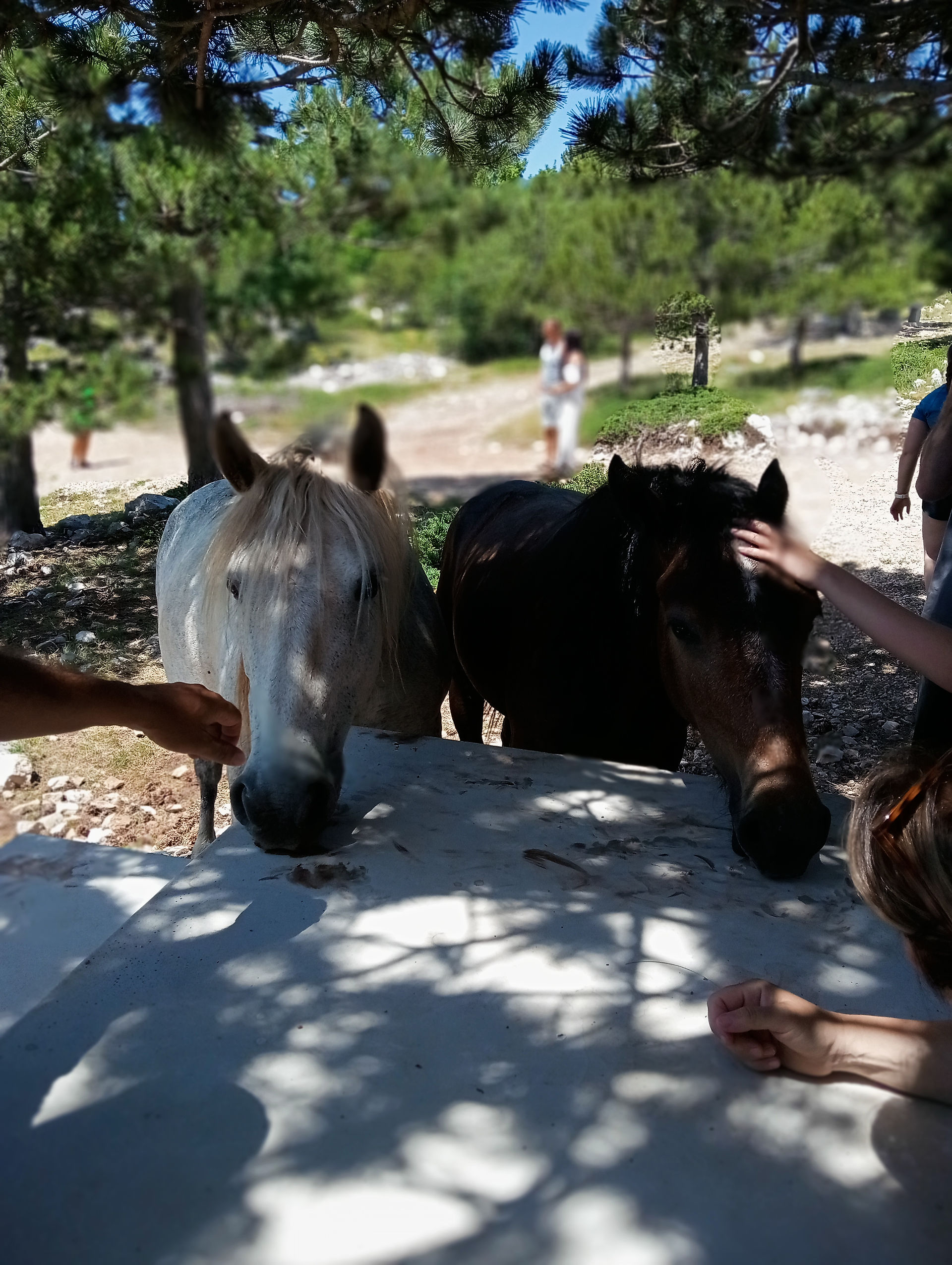 Biokovo Nature Park