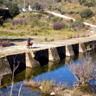 Ribeira do Vascão - Mértola