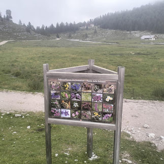 Dolomites