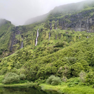 Poço da Ribeira do Ferreiro - Flores Island