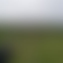 Percursos pedestres - Ilha das Flores