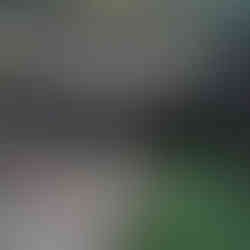 Rota dos Cervídeos - Guadramil