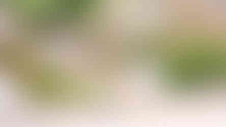 dinossáurios na Serra de Aire