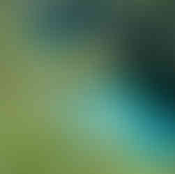 Lagos Inferiores - Plitvice