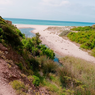 Praia da Figueira