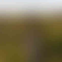 Percurso do Porto Furado