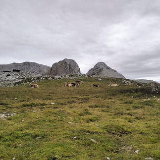 Dolomites