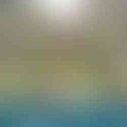 Boat trips - Ilha das Flores