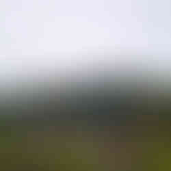 Viewpoints - Flores Island