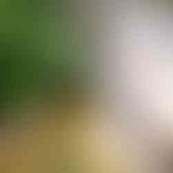 Percurso Interpretativo dos Olhos D’Água do Alviela