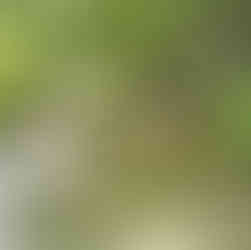 Lagos Inferiores - Plitvice