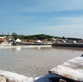 Salinas de Rio Maior