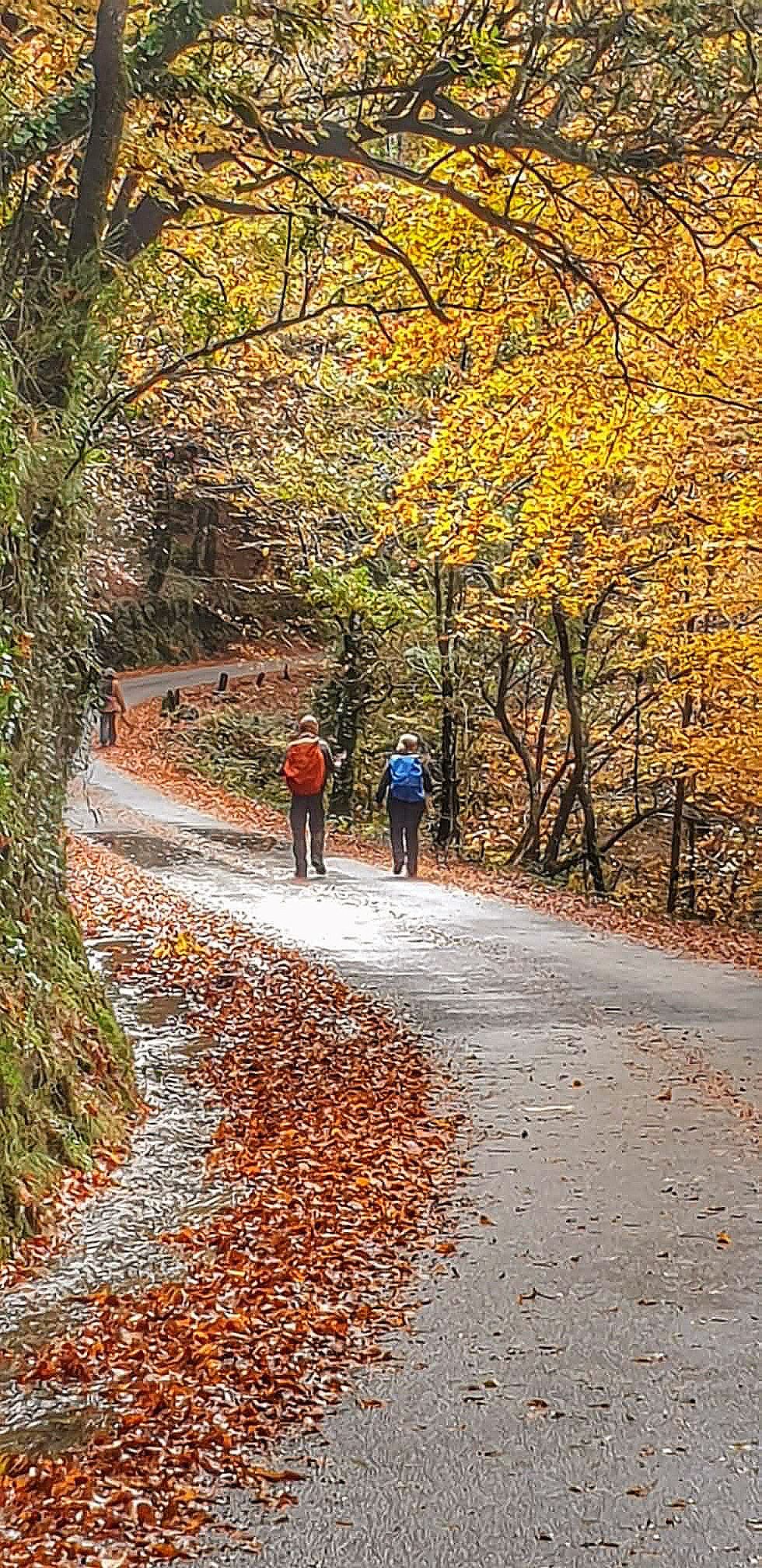 Autumn in Albergaria - Gerês