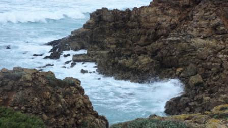 COSTA VICENTINA