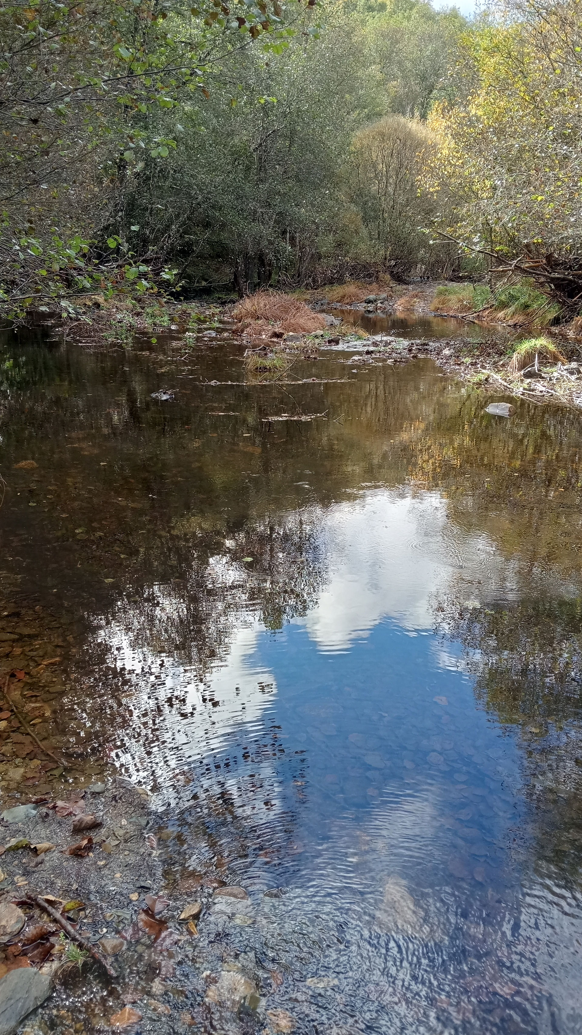 Ornal Trail
