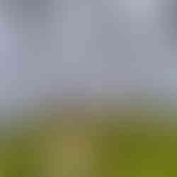 Tre Cime di Lavaredo