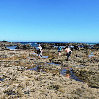 Carriagem Beach