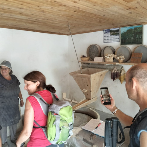 Azenha da Fajãzinha