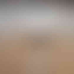 Salinas de Rio Maior