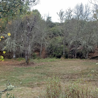 Rota dos Cervídeos - Guadramil