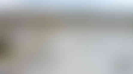 dinossáurios na Serra de Aire