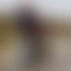 Percurso do Porto Furado