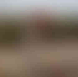 O lado português de Rio de Onor