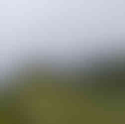 Walking trails - Flores Island