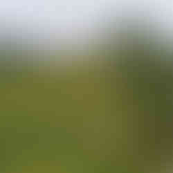 Walking trails - Flores Island