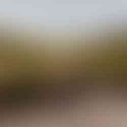 Percurso do Porto Furado