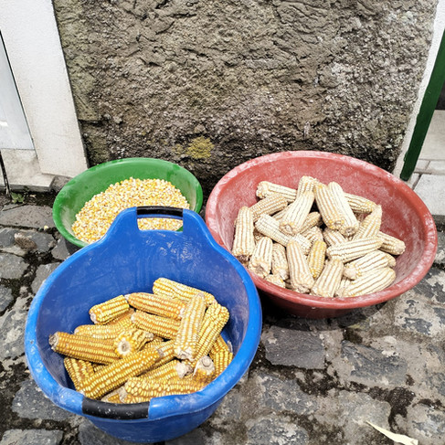 Azenha da Fajãzinha