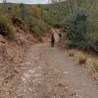 Rota dos Cervídeos - Guadramil