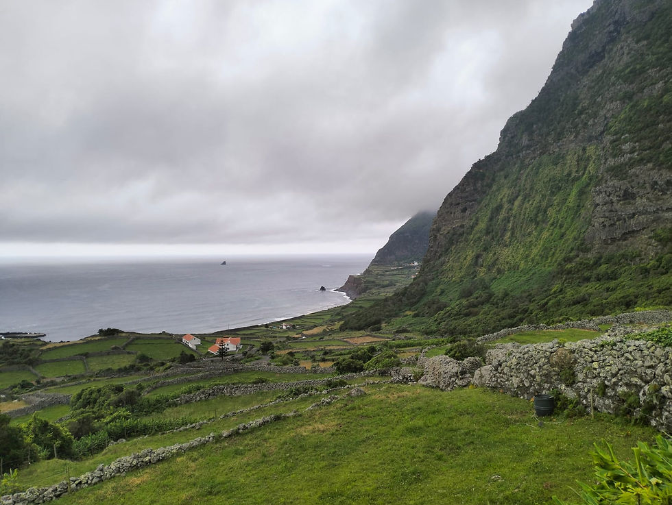 Fajã Grande - Flores Island