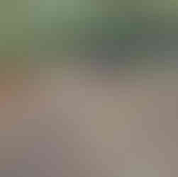 Percurso do Porto Furado